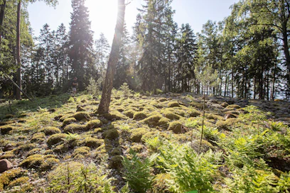 Haminan edustalla sijaitsevassa Rakin Kotkan saaressa on kivimuodostelma, joka voisi olla vanha hautapaikka. Asiaa ei ole kuitenkaan tutkittu.