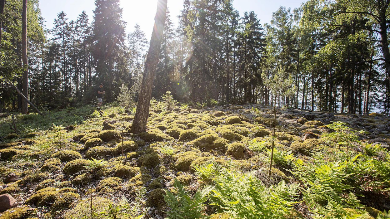 Haminan edustalla sijaitsevassa Rakin Kotkan saaressa on kivimuodostelma, joka voisi olla vanha hautapaikka. Asiaa ei ole kuitenkaan tutkittu.
