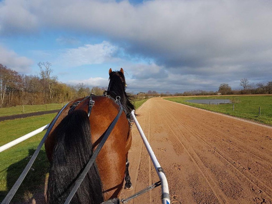 Readly Expressillä on heinien lisäksi ollut mukana oma myslipohjainen rehuseos.