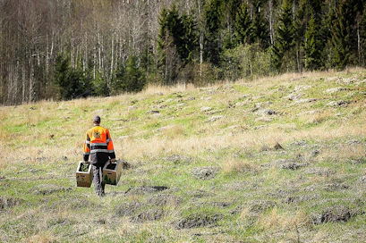 Metsätöissä saa olla omassa rauhassa luonnon keskellä.