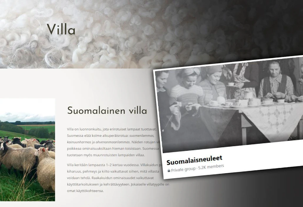 Suomalaista villaa käsittelevät sivustot lisäävät villatietoutta ja toimivat neulojien, neulemallien ja lankamyyjien kohtaamispaikkoina. Sivustoja ja tietolähteitä on myös useita muita.