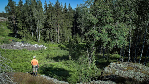 Bjuseträskin alueella Inkoossa on noin 50 hehtaaria suojelualueeksi kaavoitettua talousmetsää. Otto von Frenckellin mailla suvun metsiä on kaavoitettu suojelukohteiksi yhteensä yli sata hehtaaria. Kyseessä on iso periaatevääryys, hän sanoo. ”Metsää ei pitäisi suojella kaavamerkinnällä. Pakkokeinoja ei saa käyttää. Metsätalous on laillista elinkeinonharjoitusta, joka tuo hyvinvointia koko yhteiskunnalle.”