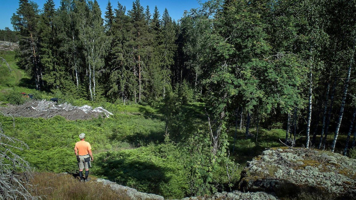 Bjuseträskin alueella Inkoossa on noin 50 hehtaaria suojelualueeksi kaavoitettua talousmetsää. Otto von Frenckellin mailla suvun metsiä on kaavoitettu suojelukohteiksi yhteensä yli sata hehtaaria. Kyseessä on iso periaatevääryys, hän sanoo. ”Metsää ei pitäisi suojella kaavamerkinnällä. Pakkokeinoja ei saa käyttää. Metsätalous on laillista elinkeinonharjoitusta, joka tuo hyvinvointia koko yhteiskunnalle.”