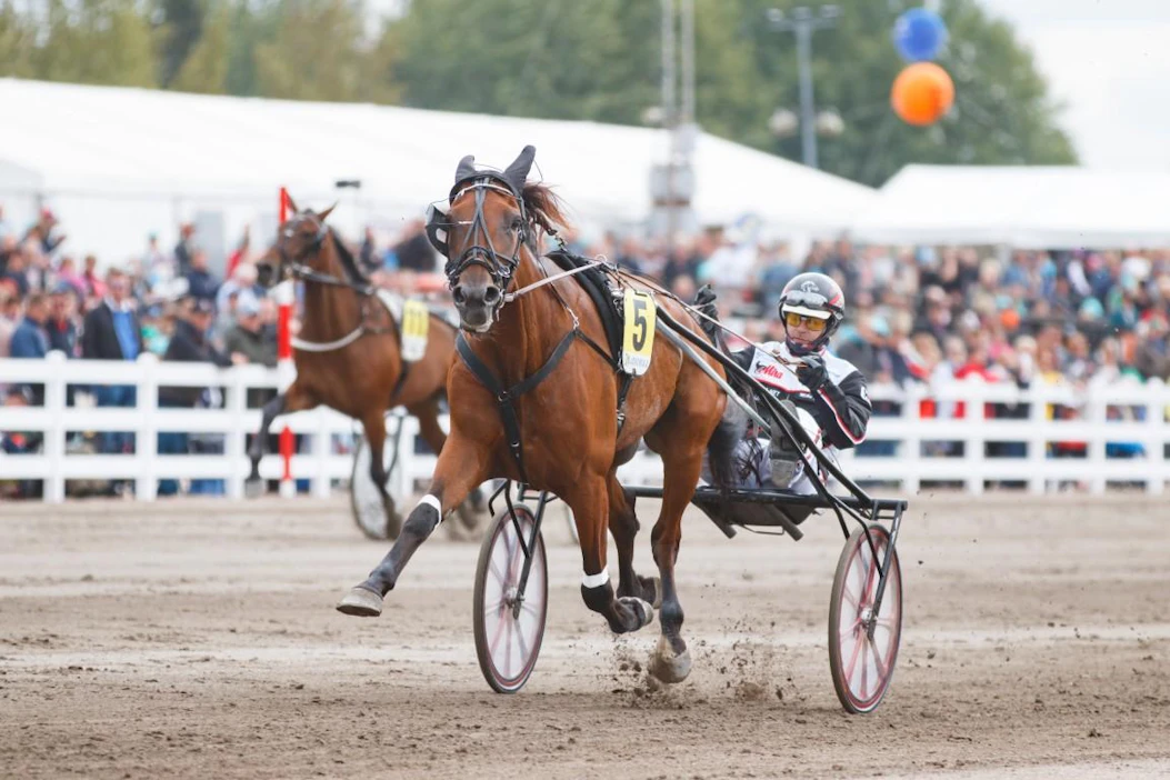 Näin ylivoimainen Valiant Dream oli viime startissaan Lahden Kuninkuusraveissa.