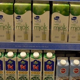 Kisa Ruotsin maitohyllyissä on kova.