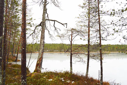 Metsähallitus on päättänyt suojella muun muassa Kemijärvellä sijaitsevan Matovaaran vastineeksi yksityisten tekemille luontolahjoille.