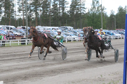 Vixuksen ja Metkutuksen loppusuoran kamppailu oli jokseenkin yhtä jännittävä, kuin Vixuksen ja Tureliuksen taisto edellisiltana samalla loppusuoralla.
