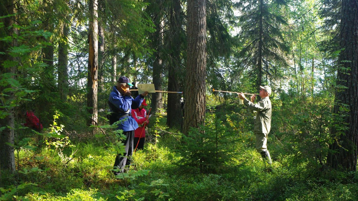 Metsänomistajat haluavat lisätä sekä puuntuotantoa että hiilensidontaa. Kuva metsänomistajien metsätaidon SM-kisoista Ähtäristä viime lauantailta, missä metsänomistajat terästivät taitojaan.