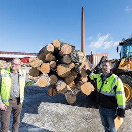 Timo Uotila (oikealla) ja tehtaanjohtaja Jaakko Aarniveräjä tarvitsevat jatkossa lisää koivutukkeja Sastamalan vaneritehtaalle.