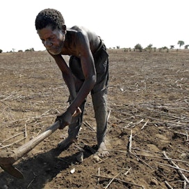 Viljelijä muokkaa peltoaan Malawissa, eteläisessä Afrikassa.Ilmastonmuutos kuivattaa viljelyalueita ja pakottaa nälänhätää kärsivät ihmiset liikkeelle. Miljoonat ovat paenneet kodeistaan. Lehtikuva/Gianluigi Guercia