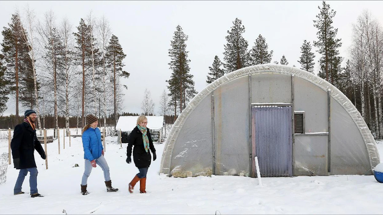 Ilkka ja Tuija Kauppinen sekä Katja Misikangas ovat onnistuneet viemään Lapin yrteistä valmistettuja tuotteita maailmanmarkkinoille. Heidän yrityksensä Arctic Warriors pitää majaansa Rovaniemen Narkauksessa, jossa sillä on myös omia viljelyksiä. Pekka Fali