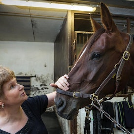 Passing Game on yksi monista “kaupunkihevosista”, sillä Kutos Tallin kimppahevonen on valmennuksessa Jani Hautaviidan tallilla Vermossa. Pauliina Raentoa kiinnostaa yhteiskuntatutkijana muun muassa, mitä kaikkea yrittämistä hevosen ympärille voi syntyä.