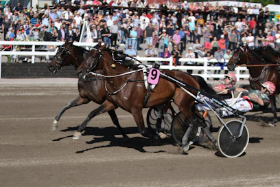Suur-Hollolan voittajavaljakko Ranch Kelly / Hannu Torvinen on toinen MT:n rivin varmoista.