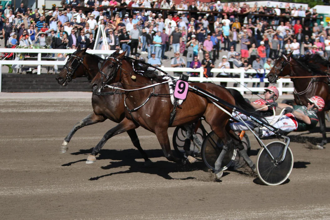 Suur-Hollolan voittajavaljakko Ranch Kelly / Hannu Torvinen on toinen MT:n rivin varmoista.
