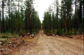 Otson kiinnostus suuntautuu jatkossa entistä enemmän metsäteiden rakentamiseen ja perusparannukseen.