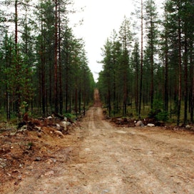 Otson kiinnostus suuntautuu jatkossa entistä enemmän metsäteiden rakentamiseen ja perusparannukseen.