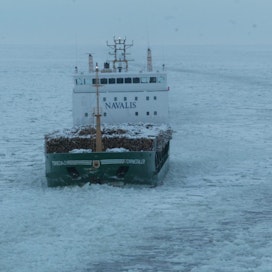 Kirjeen mukaan Itämeri jäätyy talvisin keskimäärin 40 prosentin alalta. Kuvituskuva.