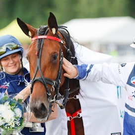 Mascate Match oli Ravinetin äänestyksessä ravikansan suosikki vuoden hevoseksi. Se keräsi 40 prosenttia äänistä. Varsinainen vuoden hevosen äänestys jatkuu Suomen HIppoksen sivulla aattoon. Massin kanssa Mikkelissä juhlivat sen hoitaja Hanna Rakkolainen ja valmentaja Pekka Korpi.
