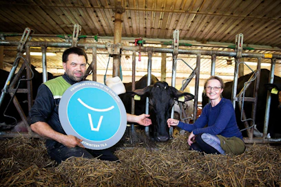 Maahanmuuttaja-holstein on tuotu alkiona Tanskasta. Pasi Rinteen ja Miina Kuusimo-Rinteen karjasta 60 prosenttia on ayrshirejä ja 40 prosenttia holsteineja. Sekaan mahtuu myös muutama jersey.