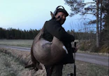 Kari Kantonen metsästää kaurispukkeja Rymättylässä.