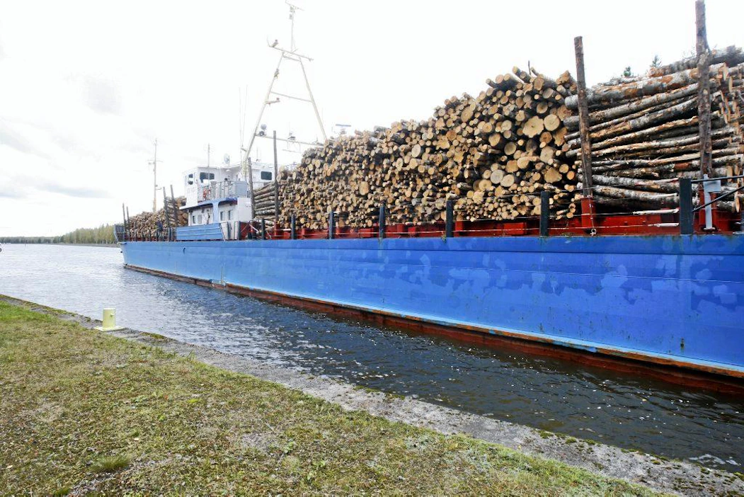 Ruplan heikkeneminen muuttaa puun venäläisen tuontipuun aiempaa halvemmaksi. Puuta tuodaan muun muassa Saimaan kanavaa pitkin.