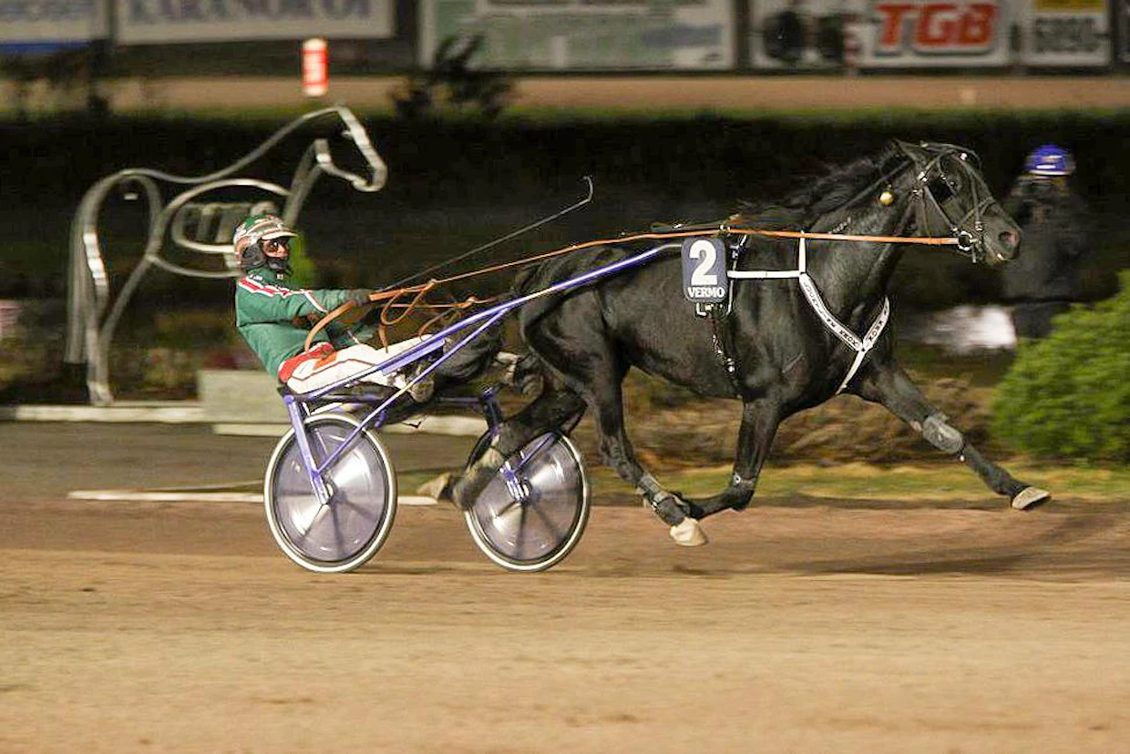 Luckyline Krok oli ensimmäinen Jukka Torvisen kahdesta keulavoittajasta.