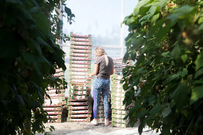 Kausityövoima on tärkeä kaikille tuotantosuunnille.