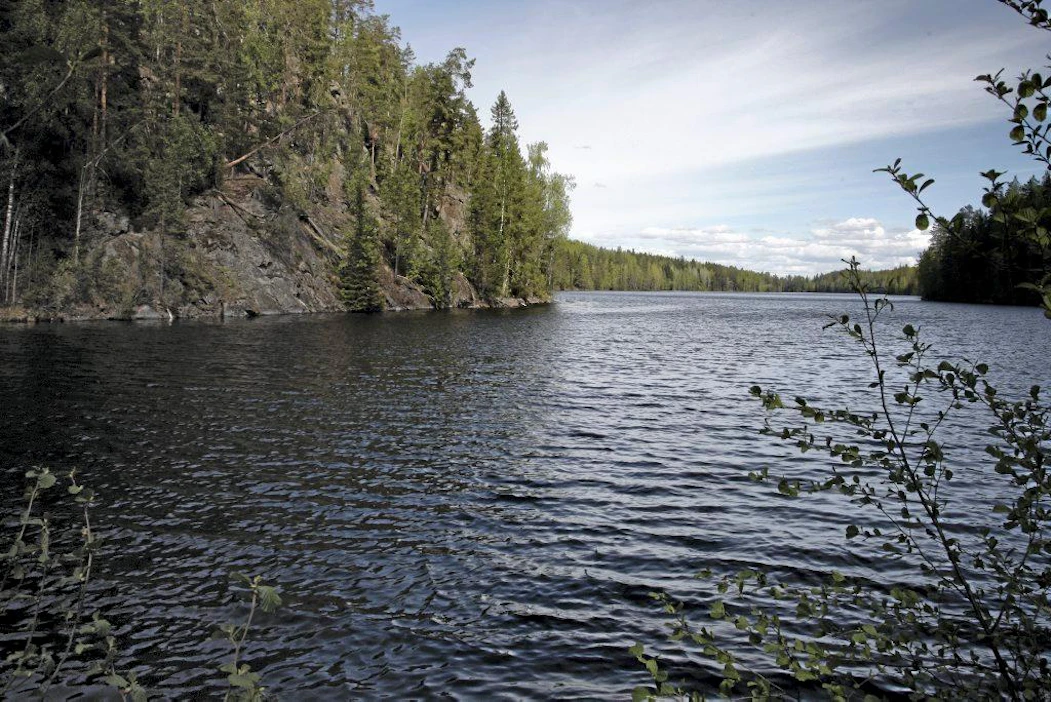Luonnonsuojelualue, natura, järvi, maisema, kuvattu Kytäjän kartanon luonnonsuojelualueella.