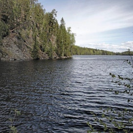 Luonnonsuojelualue, natura, järvi, maisema, kuvattu Kytäjän kartanon luonnonsuojelualueella.