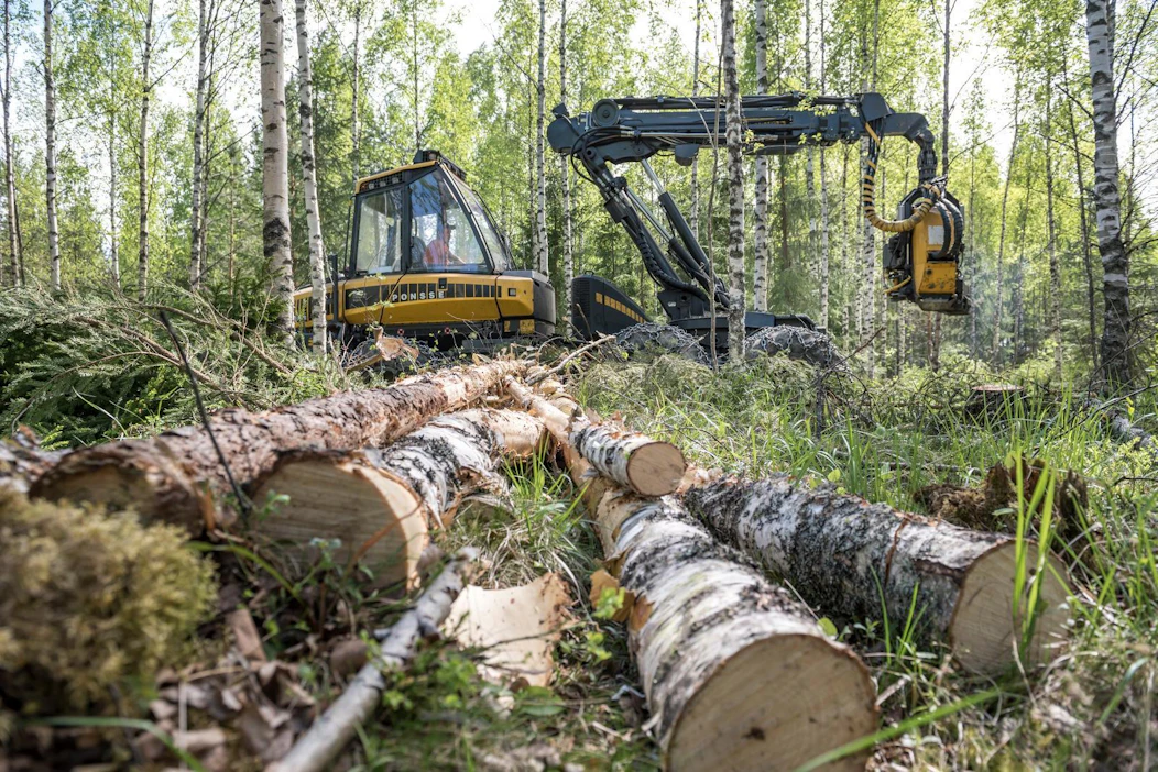 Suomessa ongelmakohdiksi ympäristön kannalta nousevat tutkijan mukaan soiden ja metsien energiakäyttö.