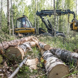 Suomessa ongelmakohdiksi ympäristön kannalta nousevat tutkijan mukaan soiden ja metsien energiakäyttö.