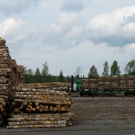 Uudet investoinnit vaikuttavat merkittävästi metsäsektorin tuotantoon tänä ja ensi vuonna.