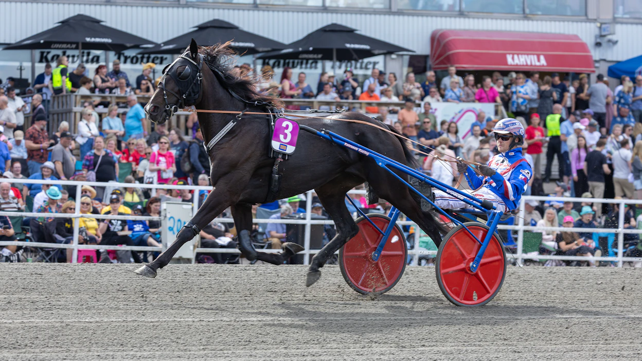 Fortunewheelgarden yrittää jättipottia keskiviikkona Solvallasta. Kuvan Teivon-startista ei menestystä irronnut.