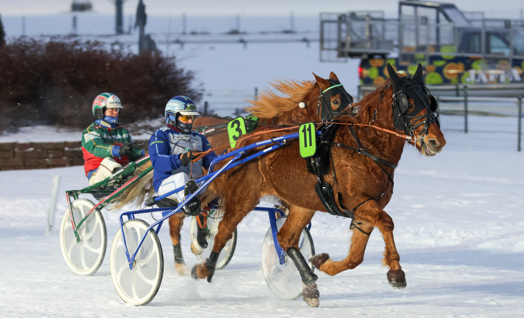Suvionni oli vahvin kylmäveristen ykköslähdössä.