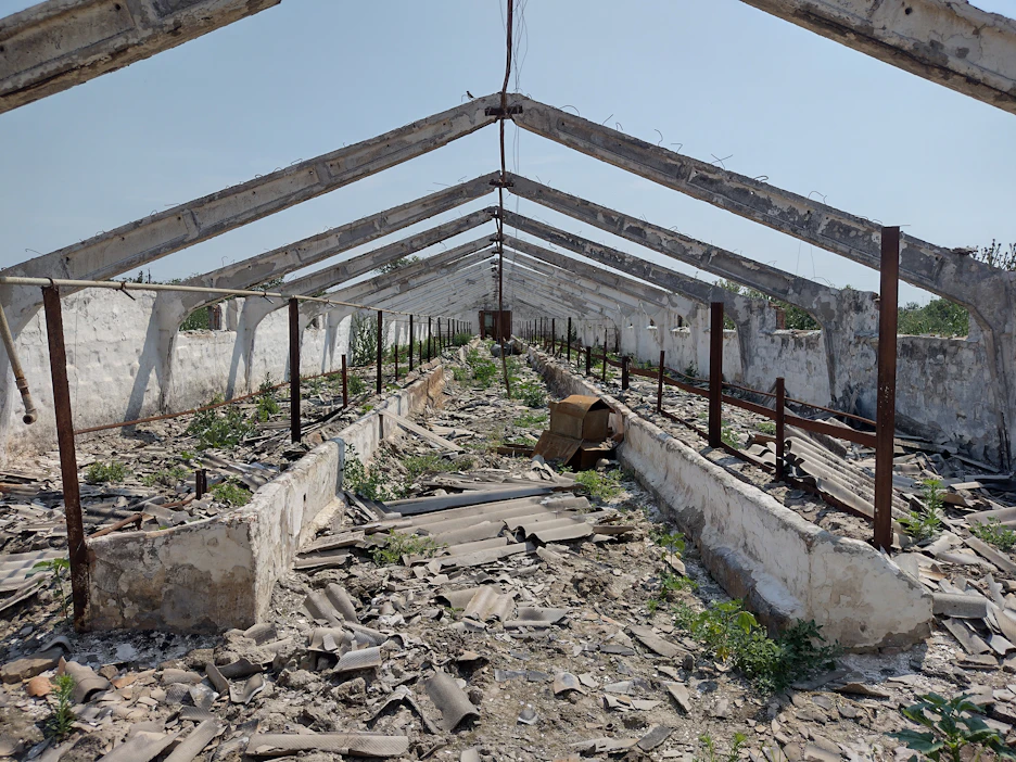 Osuuskunnan navetta tuhoutui pommituksissa eikä lypsy luonnistunut sähkölinjojen katkaisemisen jälkeen. Osa hyödynsi tilannetta ostamalla karjaa pilkkahintaan, Liudmyla Golub kertoo.