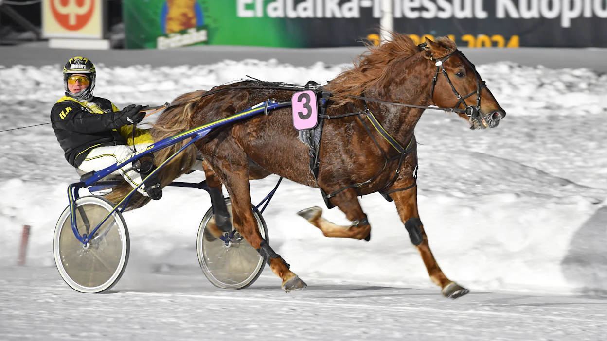 Vauhtis on yksi Vermon vetonauloista lauantaina.