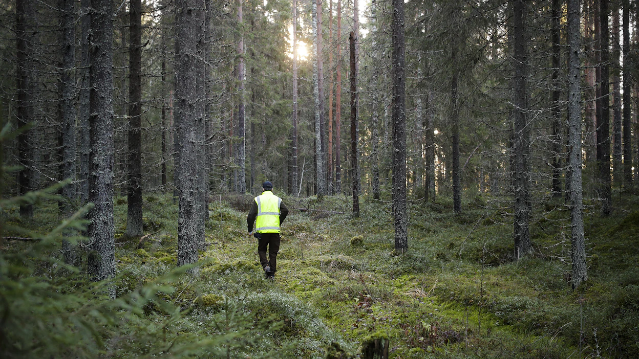 Tila-arvion lopullinen kustannus riippuu tilan koosta sekä siitä, minkä verran arvio vaatii maastotyötä.