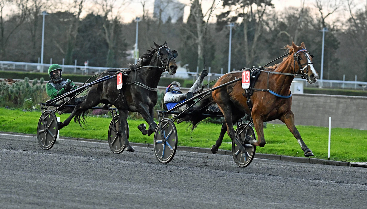 Working Class Hero (nro. 3) ja Mathieu Mottier jäivät kakkosiksi 2024 lopun Prix Tenor de Baunessa. Voittaja Just Love You eteni Prix d’Ameriqueen ja siellä kakkoseksi. Nyt Working Class Hero kokeilee siipiään avoimen tason Prix de Francessa.