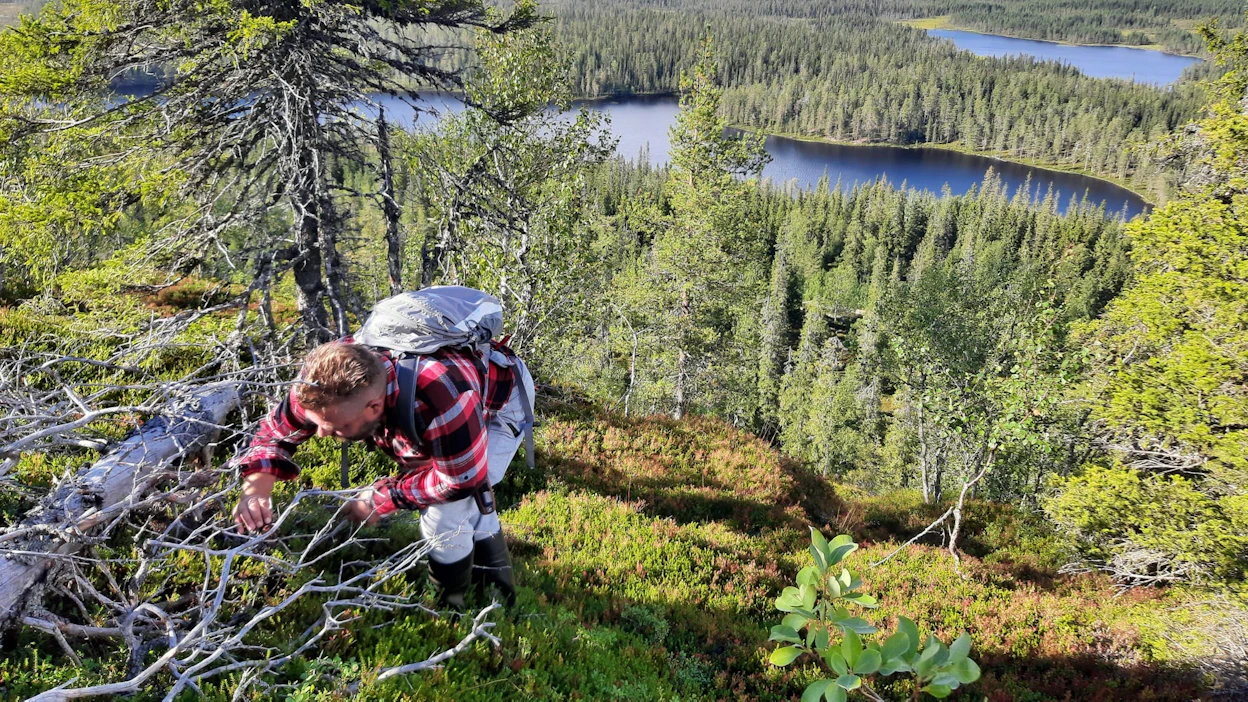 Alustavat listat löydetyistä lajeista ja niiden lukumääristä kootaan jo tapahtuman lopussa, mutta lopulliset tulokset tapahtumassa bongatuista lajeista julkistetaan syyskuussa.