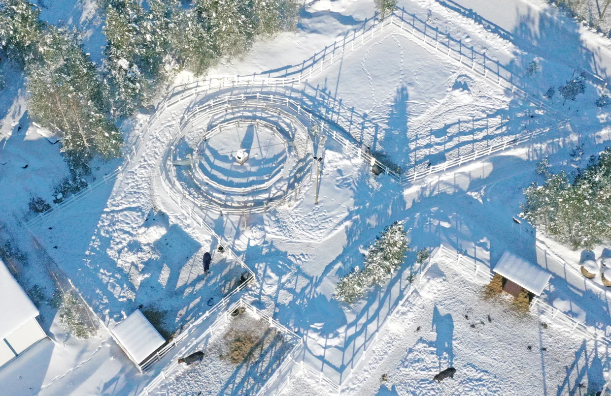 Kpedun Kaustisen toimipaikassa tarhoja on yhdistetty kujan avulla. Näin on pyritty lisäämään hevosten liikunnan määrää.