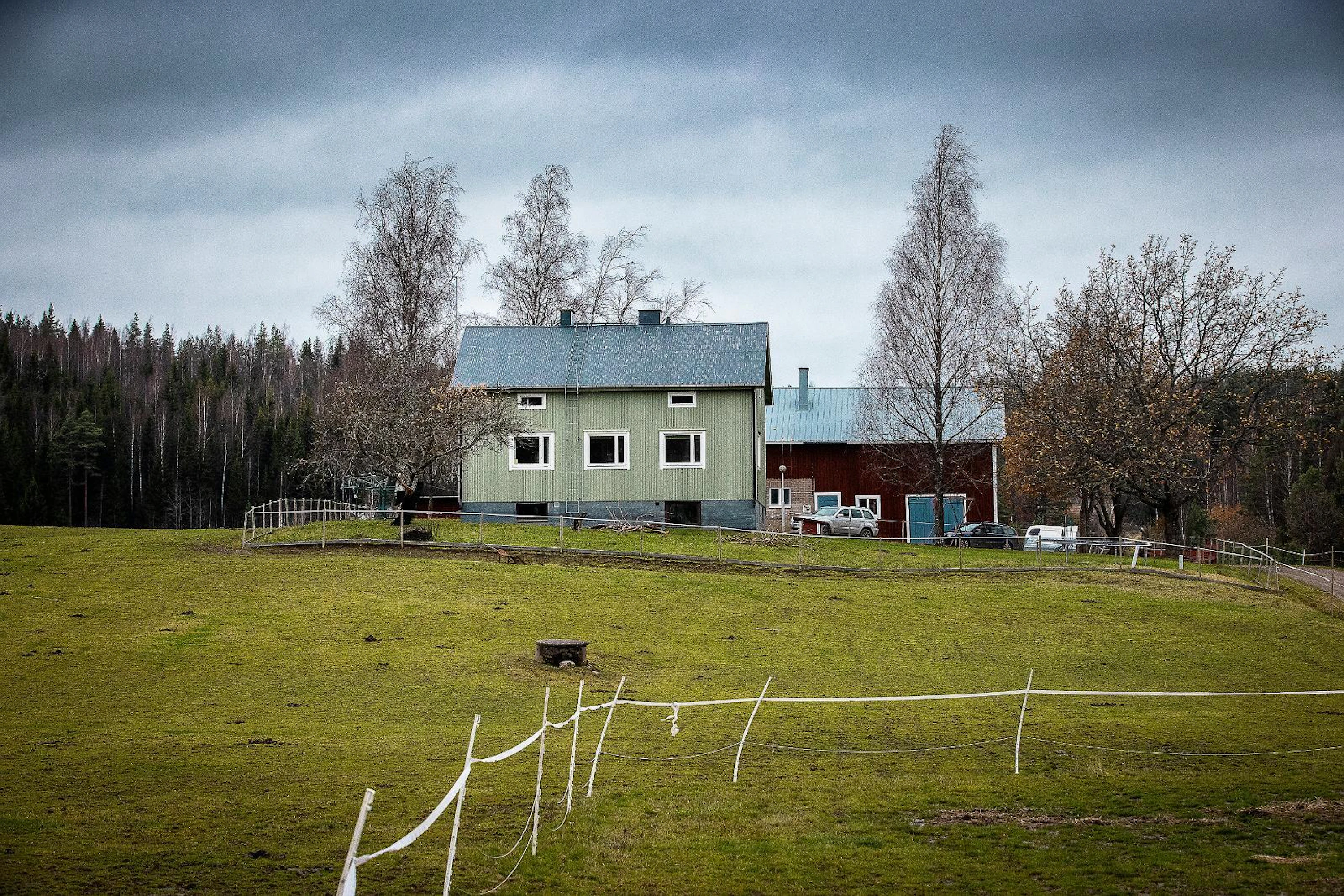 Unelmien paikka löytyi Vihdistä, pienen matkan päästä kirkonkylältä, läheltä palveluja mutta myös isoa metsää ja mahtavia ratsastusmaastoja.