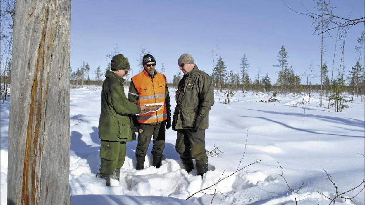 Metsähallituksen suunnittelija Timo Partanen (vas.), korjuuesimies Paavo Jaakkola ja eräsuunnittelija Markus Pekkinen tarkastelivat ennallistamistyön edistymistä Tervasuolla. Aukean suon ja metsäsaarekkeiden väliin jätetään muun muassa kelot ja vanhat puut pystyyn. armas härkönen