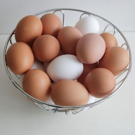 Suomessa salmonellan saamisen riski kananmunista on lähes olematon: munan voi syödä vaikka raakana.