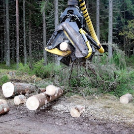 Metsien vuosittaisesta kasvusta korjataan noin 70 prosenttia. Joka kymmenes suomalainen omistaa metsää.