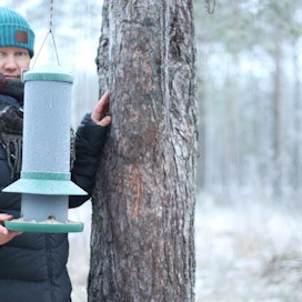 MT:n toimittaja Sari Penttinen nauttii lintujen touhujen seurailusta.