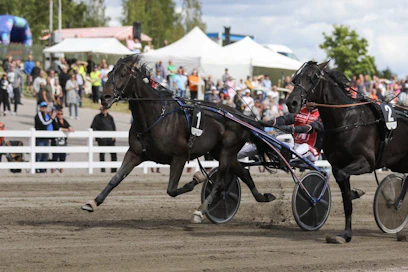 Atupem teki Suur-Hollolassa kevään loukkaantumiseen jälkeen hienon paluun radalle kirimällä välierässä ohi Run For Royaltyn. Kuva: Terhi Piispa-Helistén