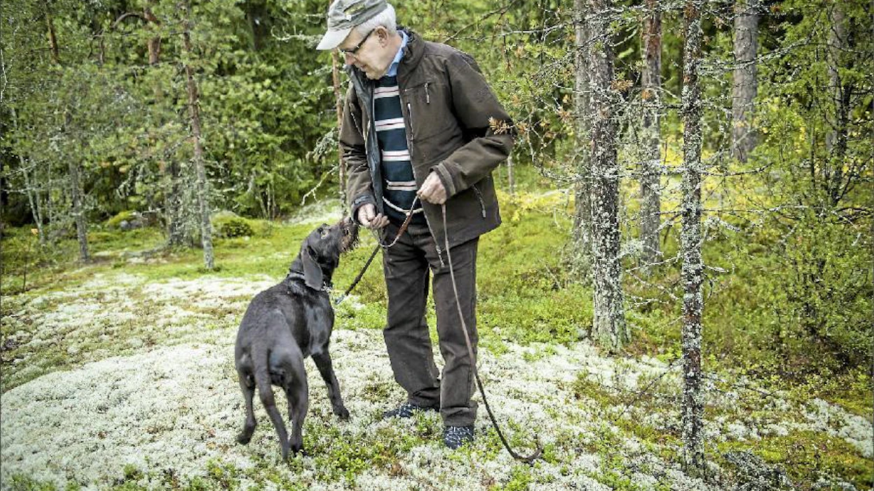 Vuoden metsävaikuttajaksi valitun Juhani karvosen harrastukset vakuuttavat metsäisyydellään. ”Metsästys, marjastus, sienestys, hiihto ja nikkarointi”, hän luettelee. Lisäksi seurana kulkee saksanseisoja Meppi. Kimmo Haimi