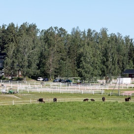 Kuvan hevostila ei liity Haimoossa myytävään perinteikkääseen Karlsbergin tilaan.
