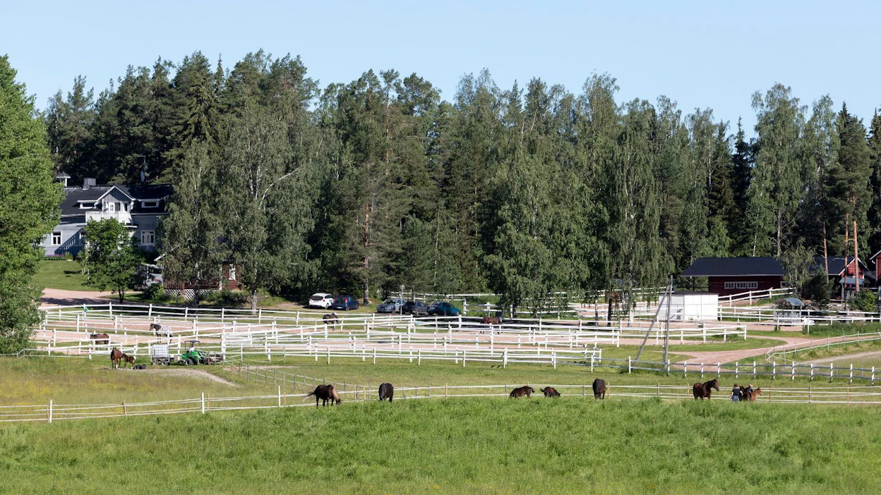 Kuvan hevostila ei liity Haimoossa myytävään perinteikkääseen Karlsbergin tilaan.