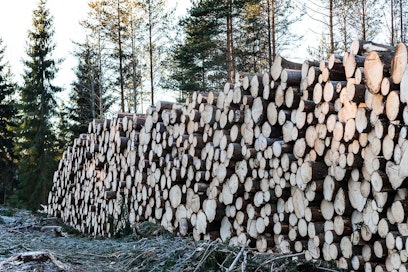 Suomen Puukauppa Oy - Maaseudun Tulevaisuus